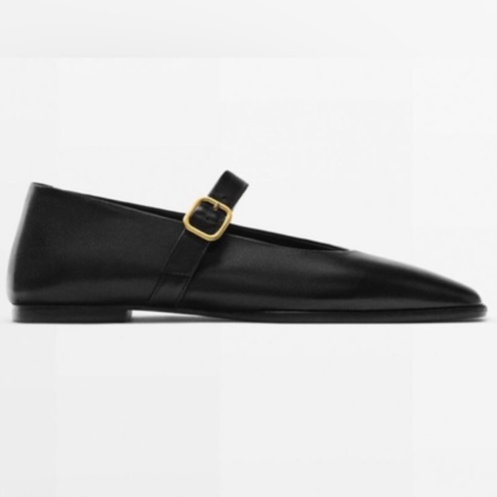 Massimo Dutti Ballet Flats: Reserved